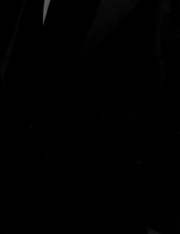 Paul Niklewicz